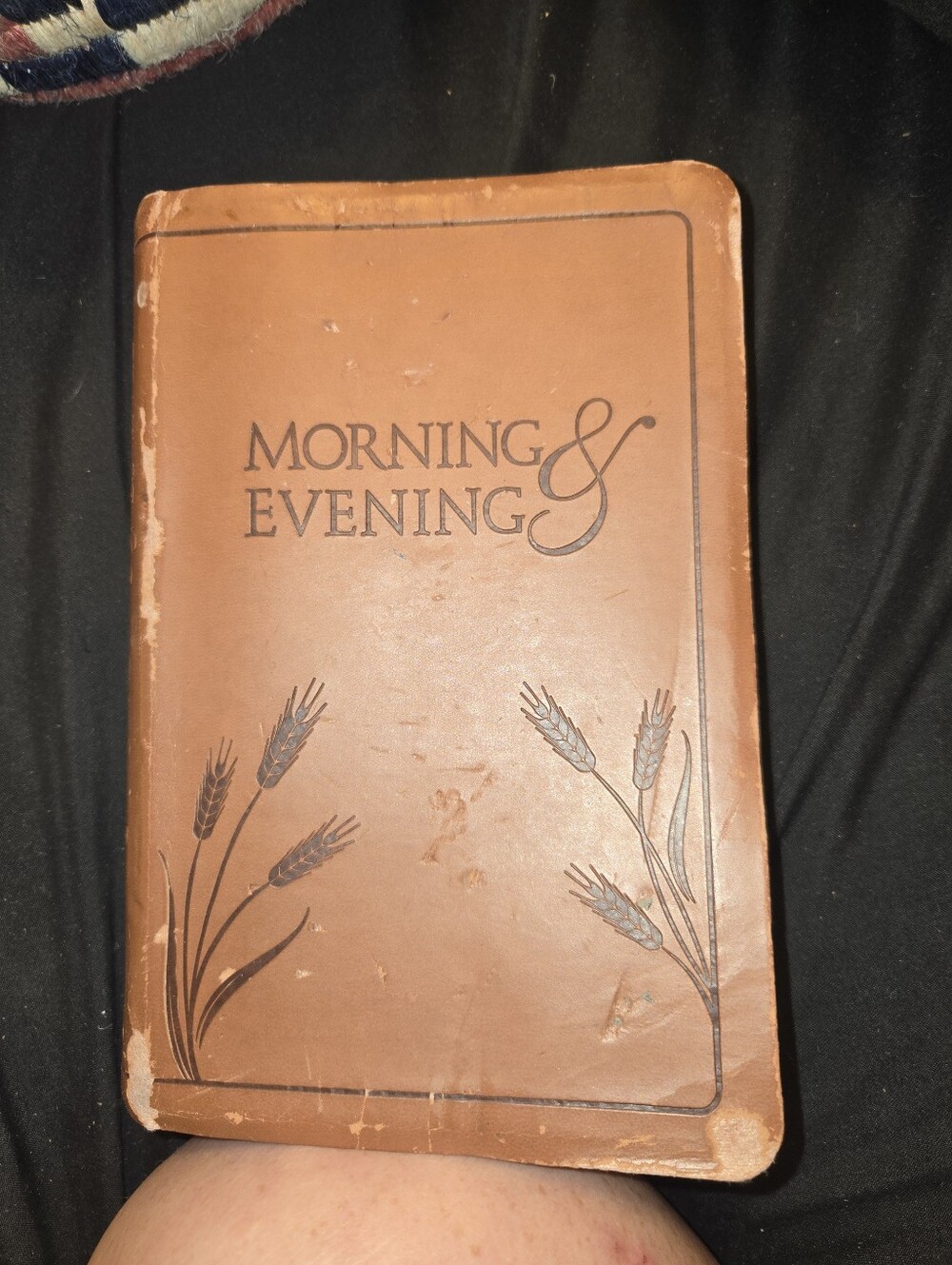 Leather Bible